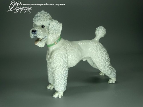Купить фарфоровые статуэтки Rosenthal, Белый пудель, Германия
